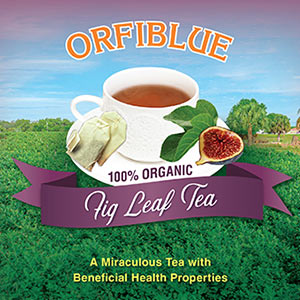 Orfiblue Organic Fig Leaf Tea